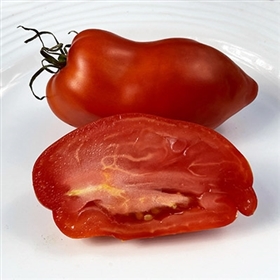 Polish Linguisa Tomato