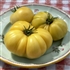 Potato Leaf White - Organic Heirloom Tomato Seeds