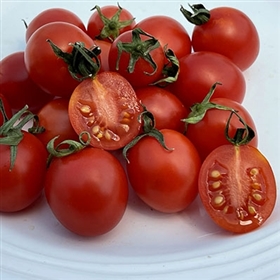 Principe Borghese heirloom tomato seeds