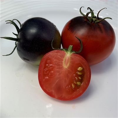 Pride of Flanders - Organic Heirloom Tomato Seeds