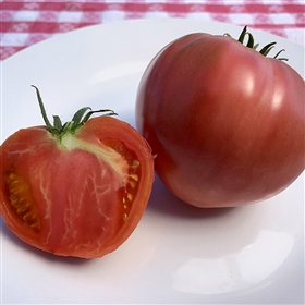 Rawlings – Organic Tomato Seeds