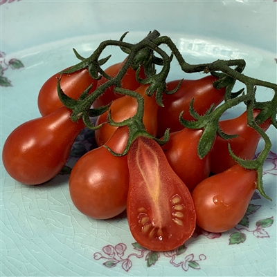 Red Fig Tomato