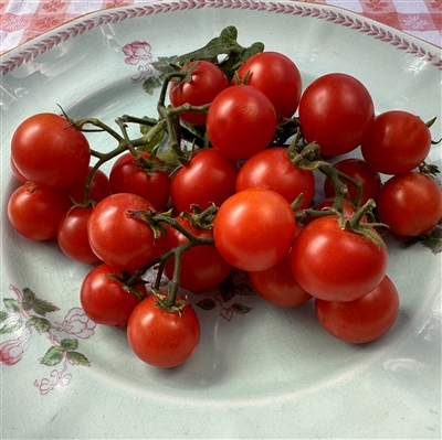 Red Robin - Heirloom Tomato