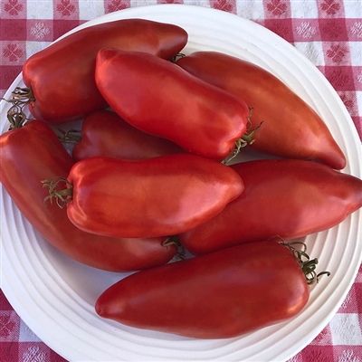 San Marzano Redorta