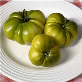 Spear's Tennessee Green Tomato