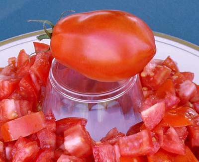 Spitze Tomato