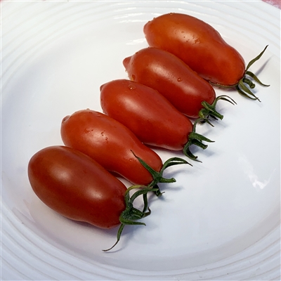 Ten Fingers of Naples - Heirloom Tomato Seeds | Organic TomatoFest
