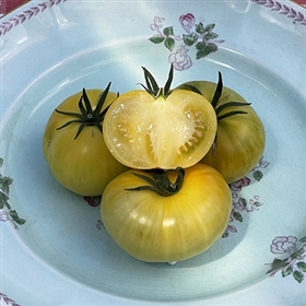 Tiger Paw-Heirloom Tomato