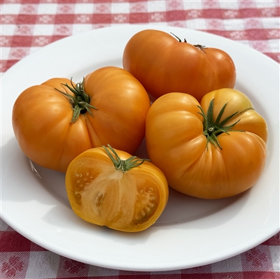 Tobolsk Tomato