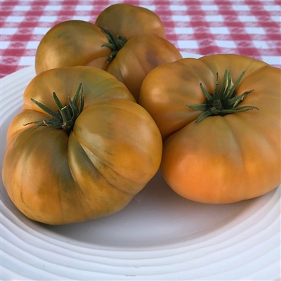 Uluru Ochre - Dwarf Tomato