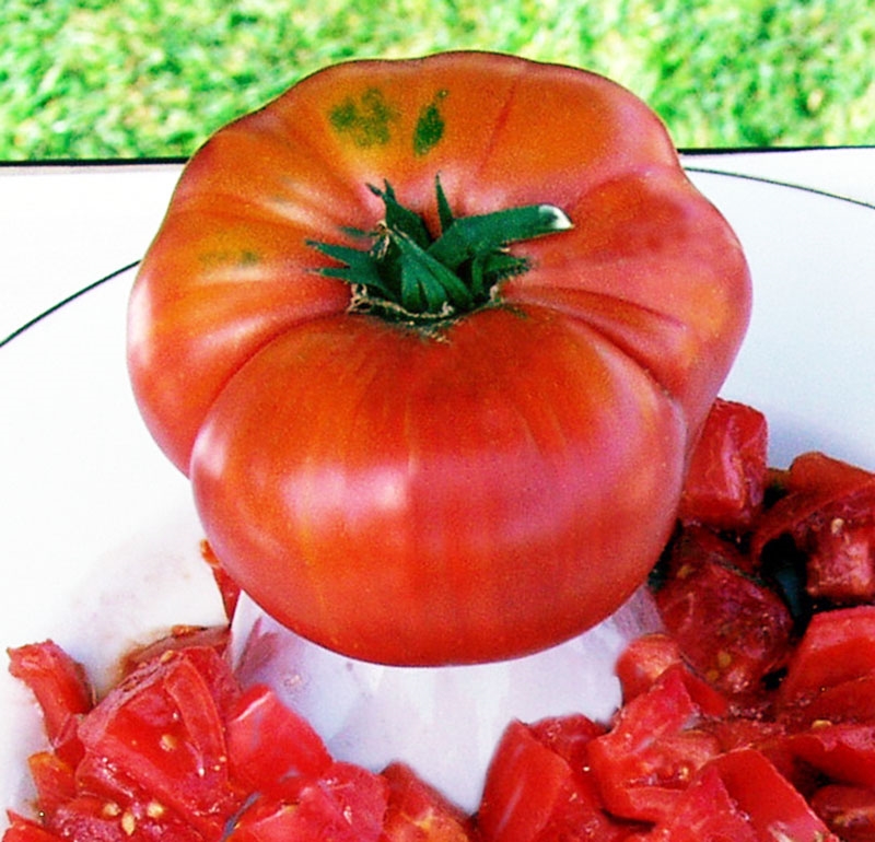 Watermelon Beefsteak Tomato Seeds – Wildrose Heritage Seed Company