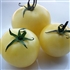 White Beauty - Organic Heirloom Tomato Seeds