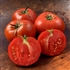 Bush Beefsteak - Organic Heirloom Tomato Seeds