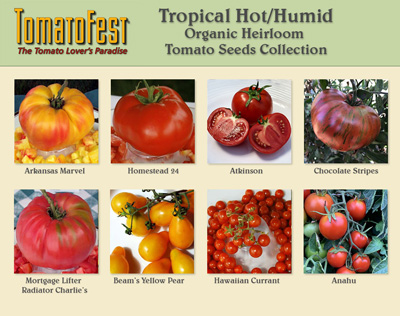 Tropical Hot/Humid Tomato Seed Collection