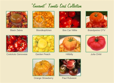 Gourmet Tomato Seed Collection