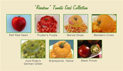 Rainbow Tomato Seed Collection