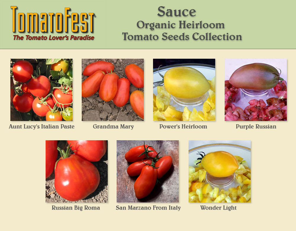 Sauce Tomato Seed Collection-TomatoFest Organic