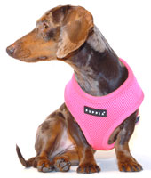 Pretty in Pink Puppia Harness