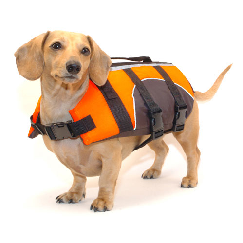 Neon Orange Dachshund Life Preserver