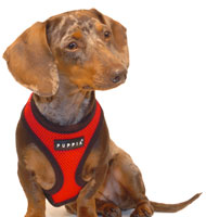 Cherry Red Puppia Harness
