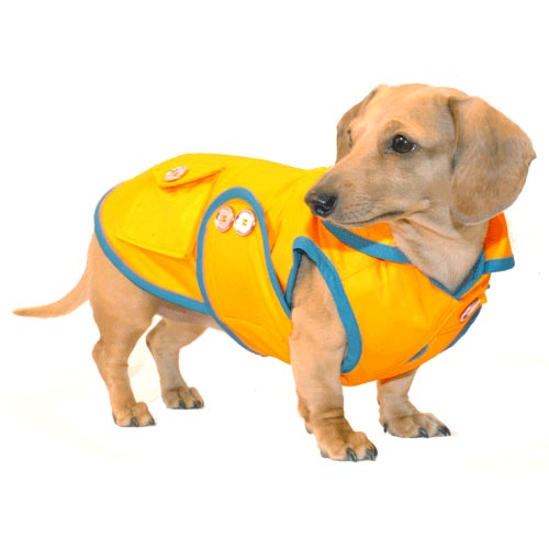 Mango Sorbet Dachshund Raincoat