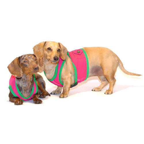 Watermelon Pink Classic Never-Choke Dachshund Harness