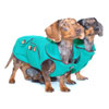 Reversible Truly Teal Dachshund Coat