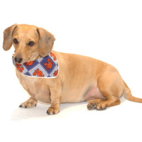 Crabby Noodle Bandoodle Dachshund Bandana