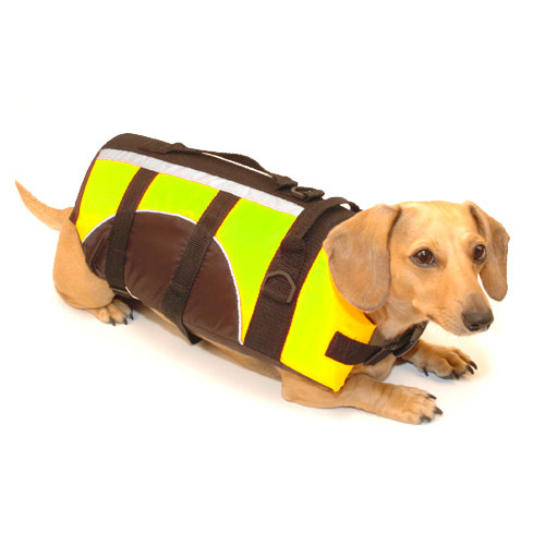 Neon Yellow Dachshund Life Preserver