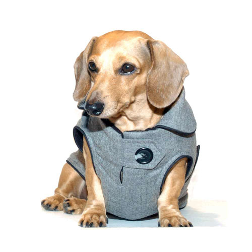 Reversible Executive Dachshund Coat