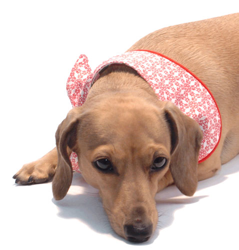 Snowflake Noodle Bandoodle Dachshund Bandana