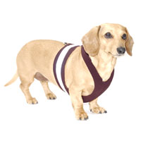 Raisin Brown Easy-Go Never-Choke Dachshund Harness