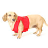 Cherry Red Classic Never-Choke Dachshund Harness