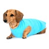 Sky Blue Dachshund Fleece Sweater