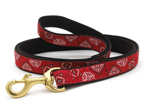 Bandana Dachshund Lead