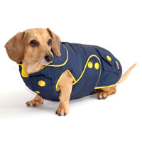 Navy Blue Blizzard Dachshund Parka with Thinsulate