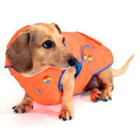 Neon Orange Blizzard Dachshund Parka with Thinsulate