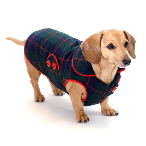 Reversible Mackenzie Plaid Dachshund Coat