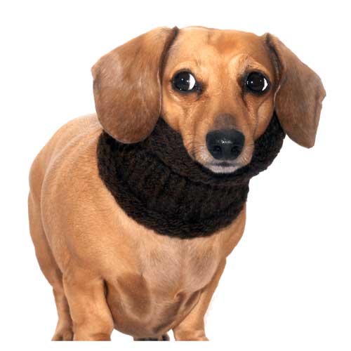Chocolate Noodle Boodle Dachshund Neck Warmer