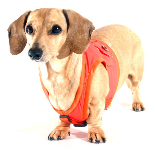 Raisin Brown Classic Never-Choke Dachshund Harness