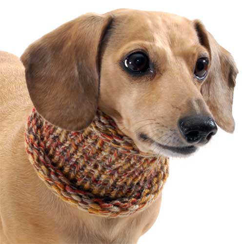 Marled Pumpkin Spice Noodle Boodle Dachshund Neck Warmer