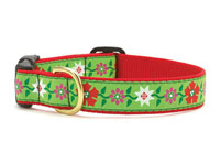 Poinsettia Dachshund Collar