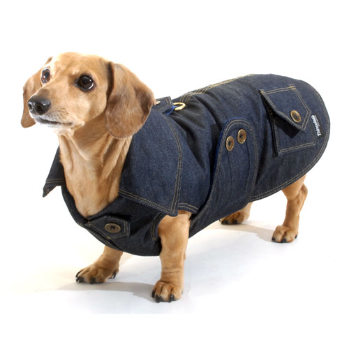 Dachshund Denim Coat with Thinsulate