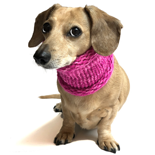 Marled Fuschia Pink Noodle Boodle Dachshund Neck Warmer