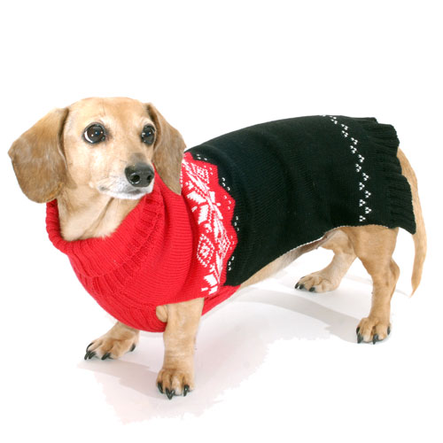 Poinsettia DoxiFit DreamKnit Wool-Blend Dachshund Sweater