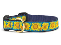Sunflower Dachshund Collar
