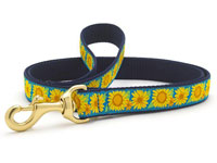 Sunflower Dachshund Lead