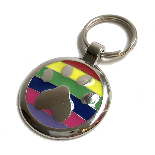 Rainbow Paw Dachshund ID Tag