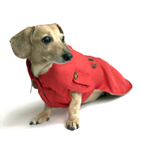 Cherry Red Dachshund Trenchcoat