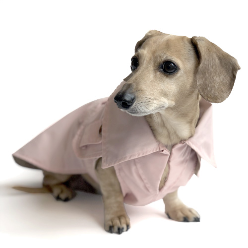 Blush Pink Dachshund Trenchcoat